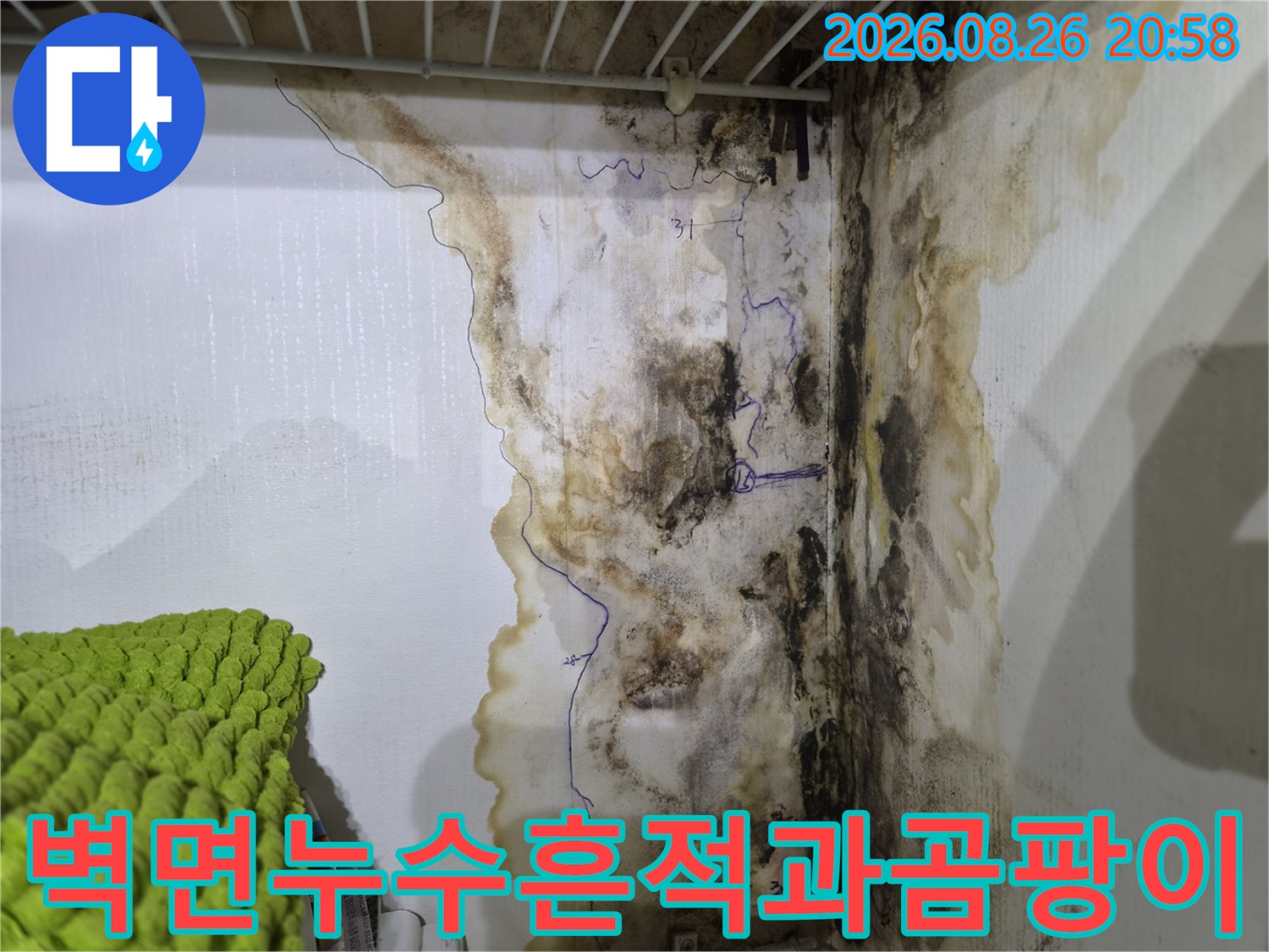구로구 오류동 현장의-벽지 변색 및 곰팡이 발생 상태