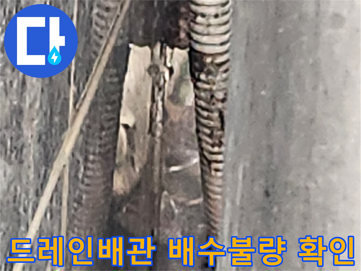 드레인-배관에서-나온-물이-건물-외벽-틈새로-유입되는-상태