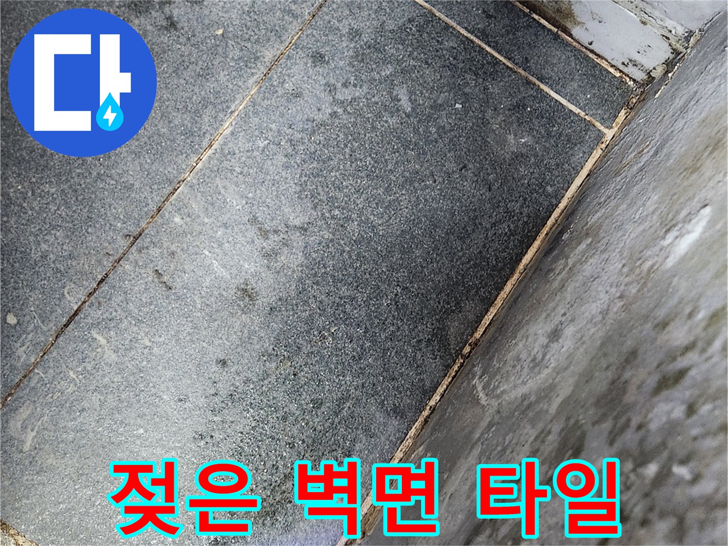 습기가-침투한-내부-타일-벽면의-상태
