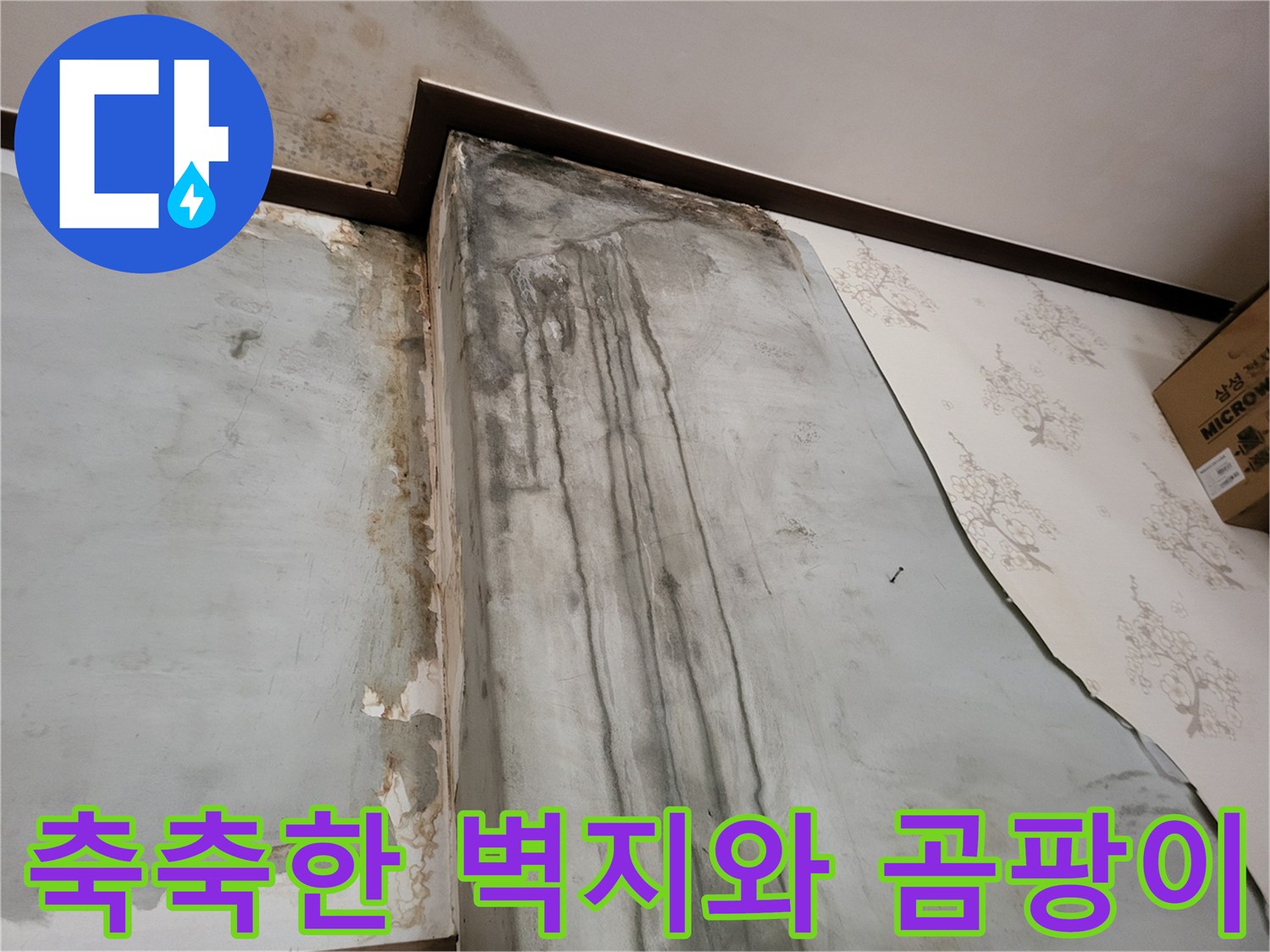 물샘 현상이 나타난-벽면의 곰팡이 발생 부위