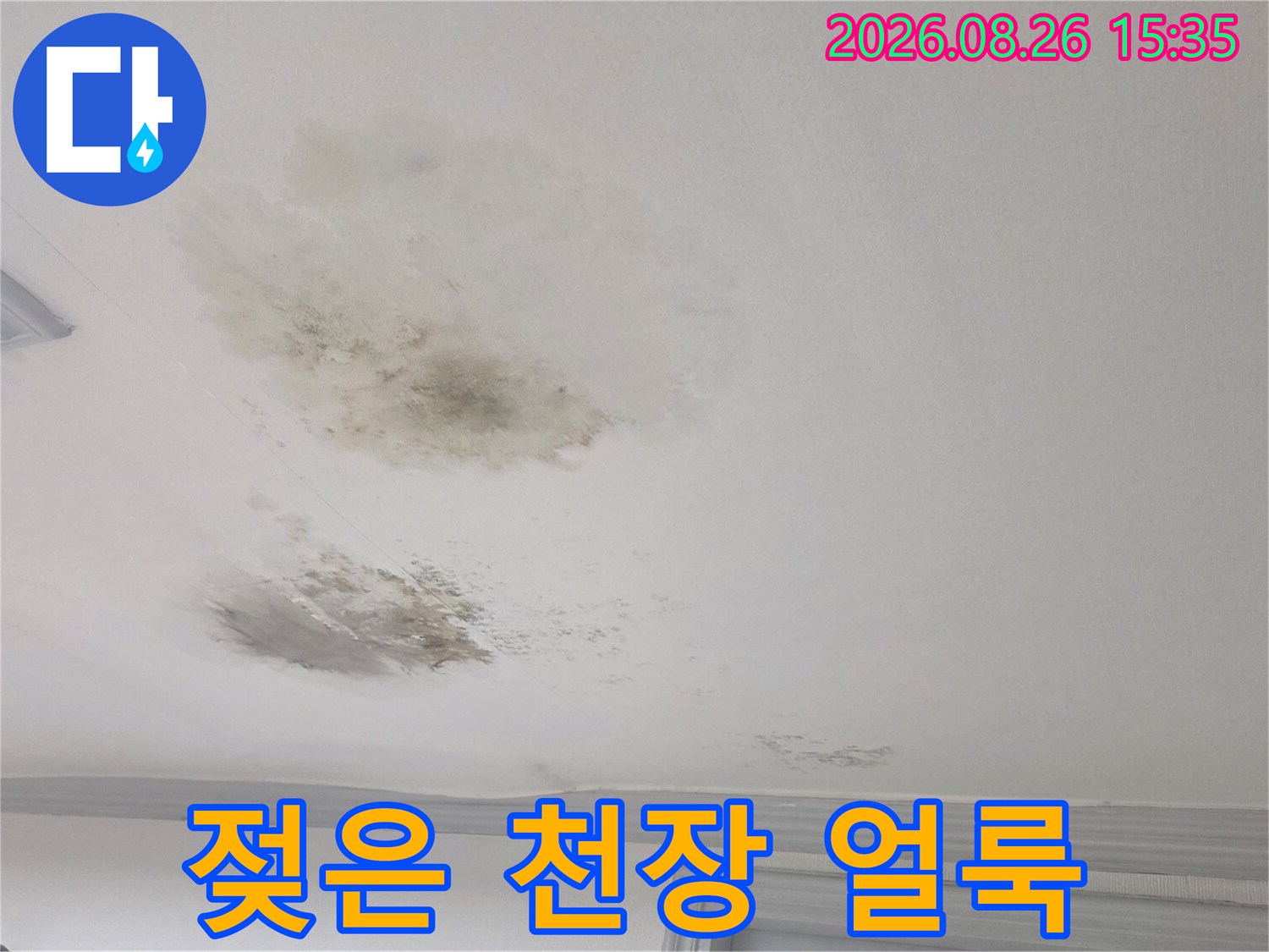 거실 천장 마감재에 발생한 짙은 색의 누수 흔적과 변색 부위