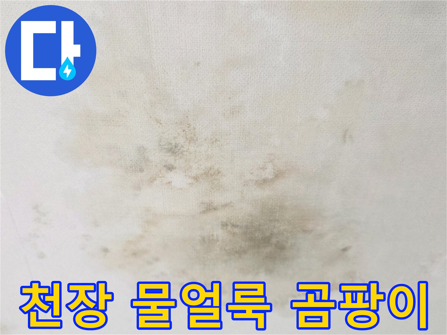 거실 천장에 발생한 넓은 범위의 물 얼룩과 곰팡이 흔적