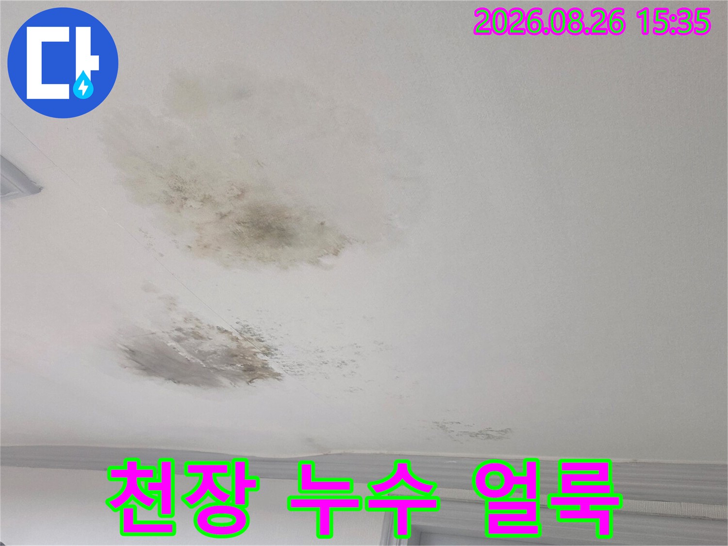 경기 광주 송정동 빌라 천장에 발생한 넓은 누수 흔적과 곰팡이 상태