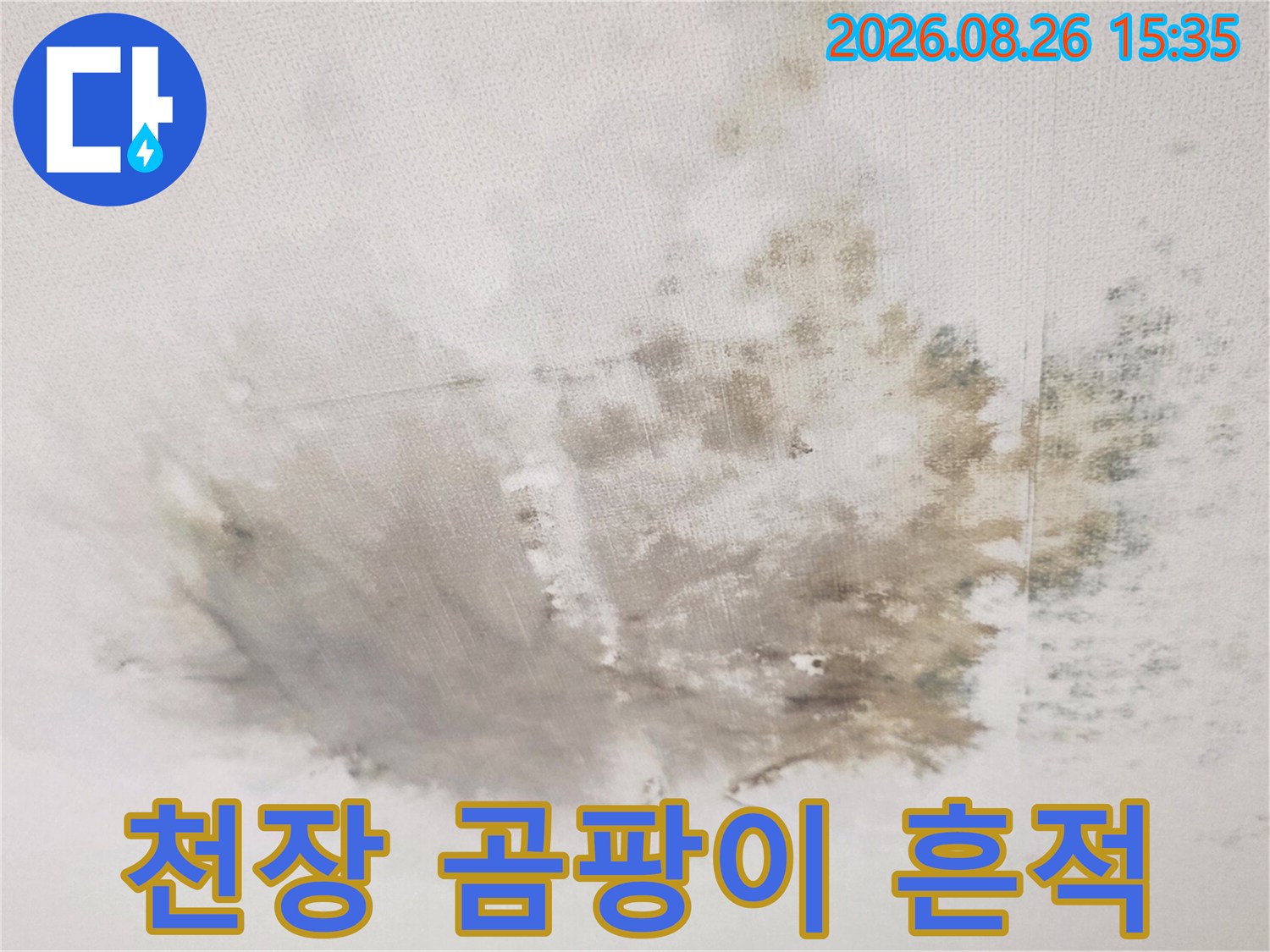 물기가 스며들어 변색된 천장의 곰팡이 부위