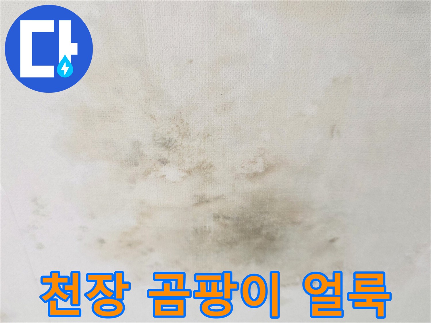 습기-침투로-발생한-천장-벽지의-어두운-얼룩