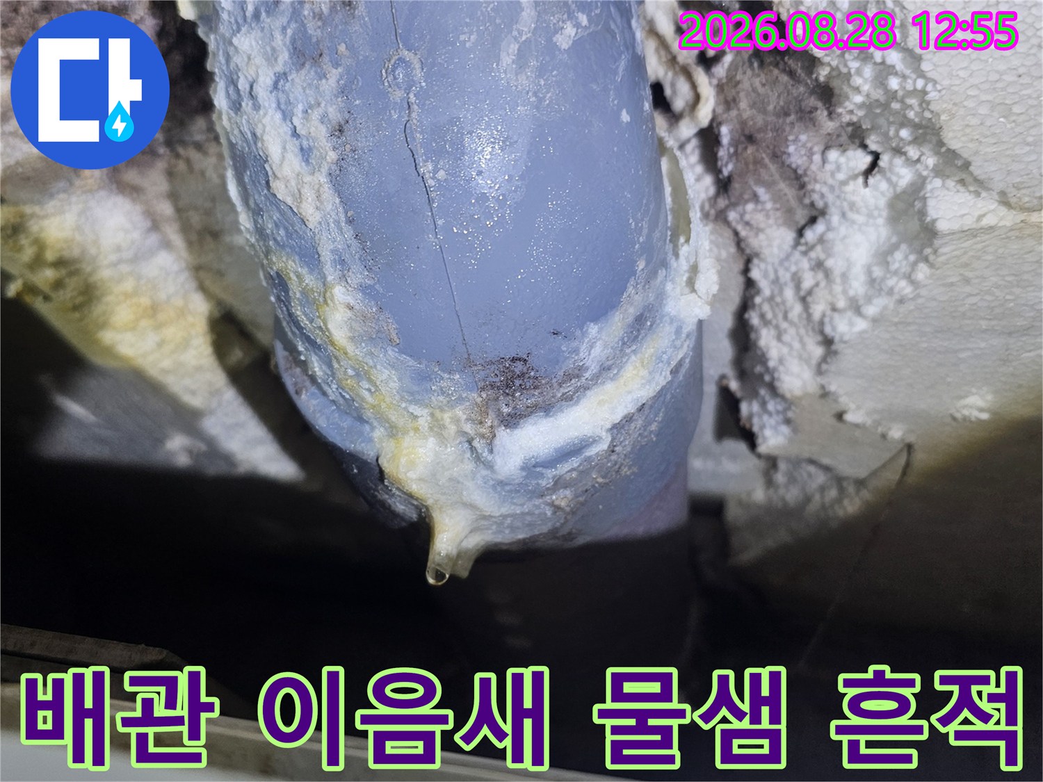 하얀 석회가 맺힌 배관-배수관 연결 부위에서 새어 나온 물로 인한 석회 형성