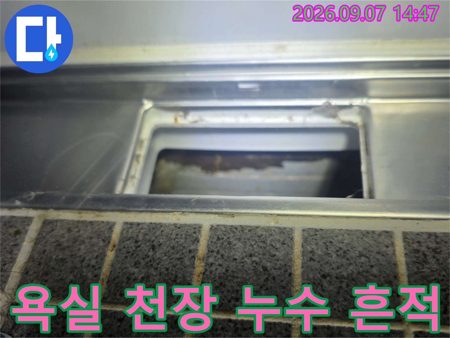 천장 점검구 주변과 내부의 습한 상태를 보여주는 사진입니다.