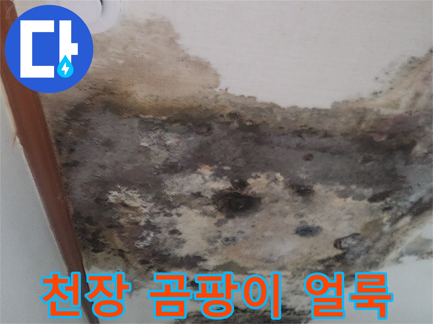 누수로-발생한-거실-천장의-심각한-벽지-오염과-곰팡이-번짐