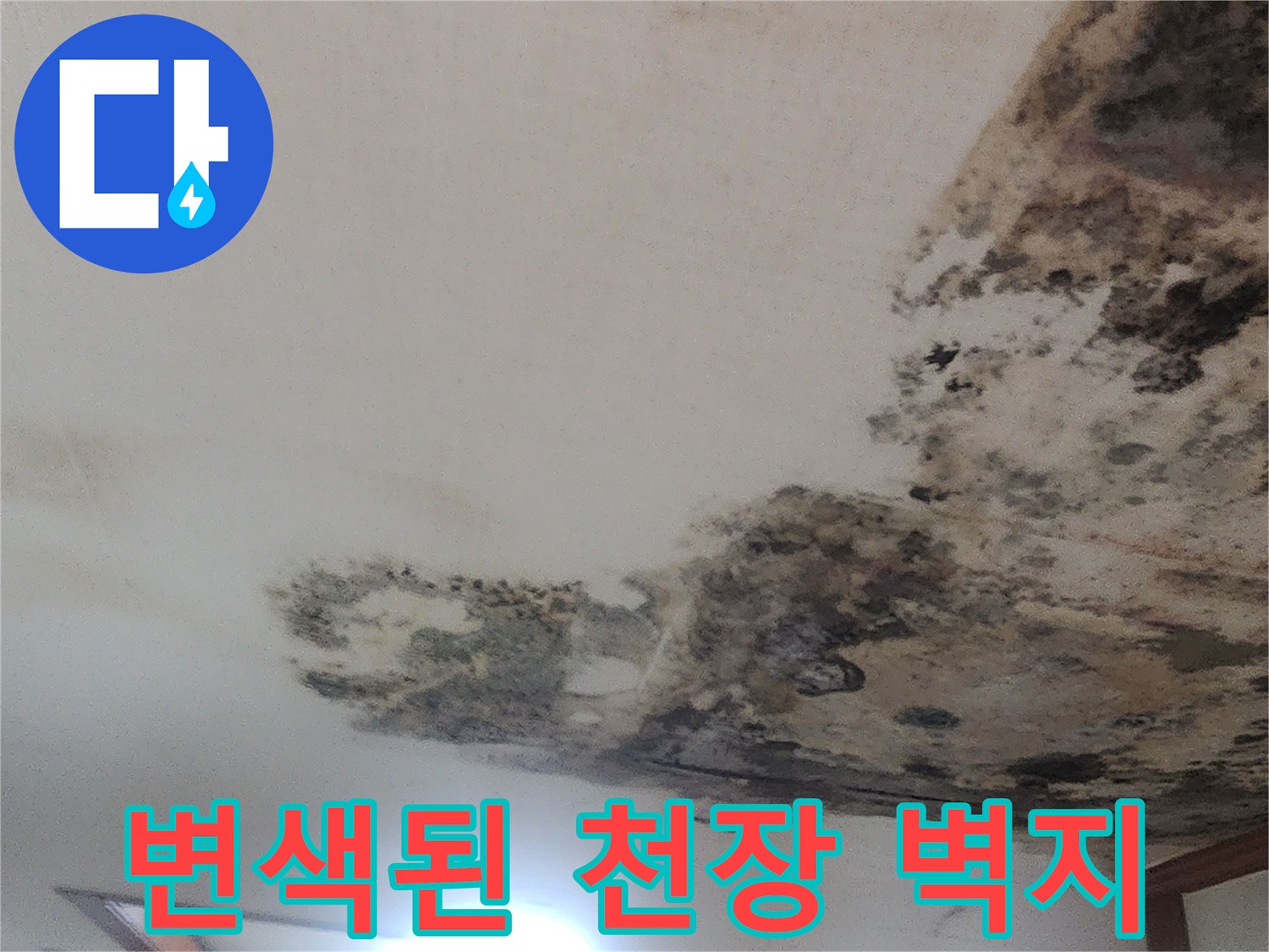 물샘으로 인해 검게 변색되고 오염된 천장 부위