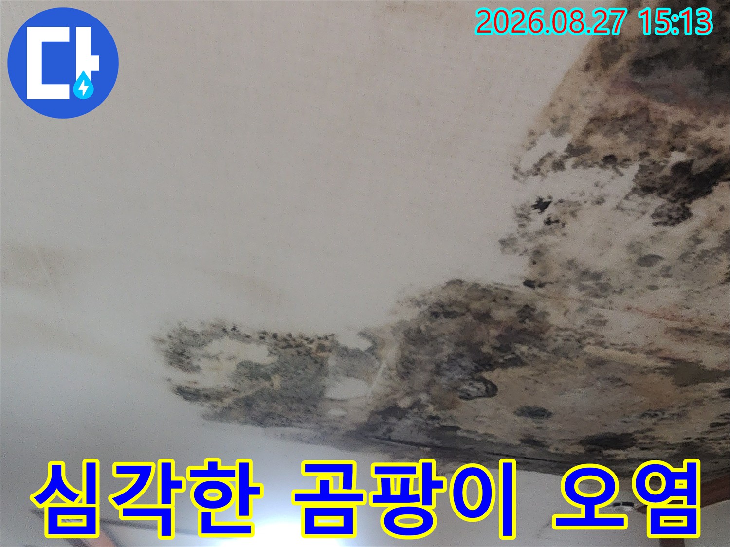 성북구 누수 현장-넓게 퍼진 검은 곰팡이와 천장 얼룩