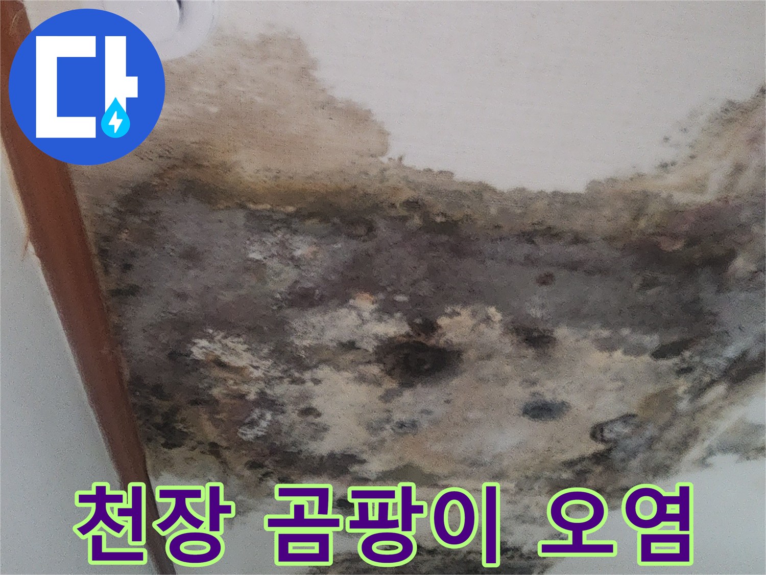 성북구-아파트-거실-천장-누수로-발생한-심한-곰팡이와-벽지-오염-상태