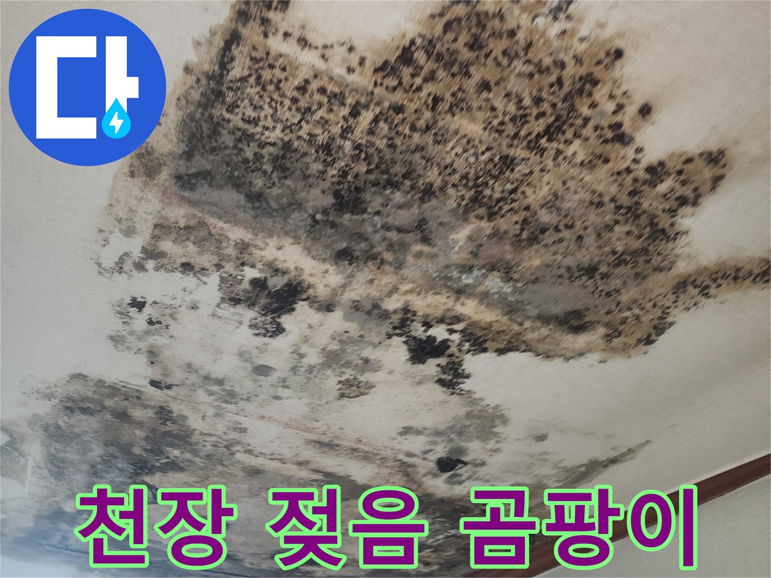심각하게 오염된 거실 천장의 누수 흔적