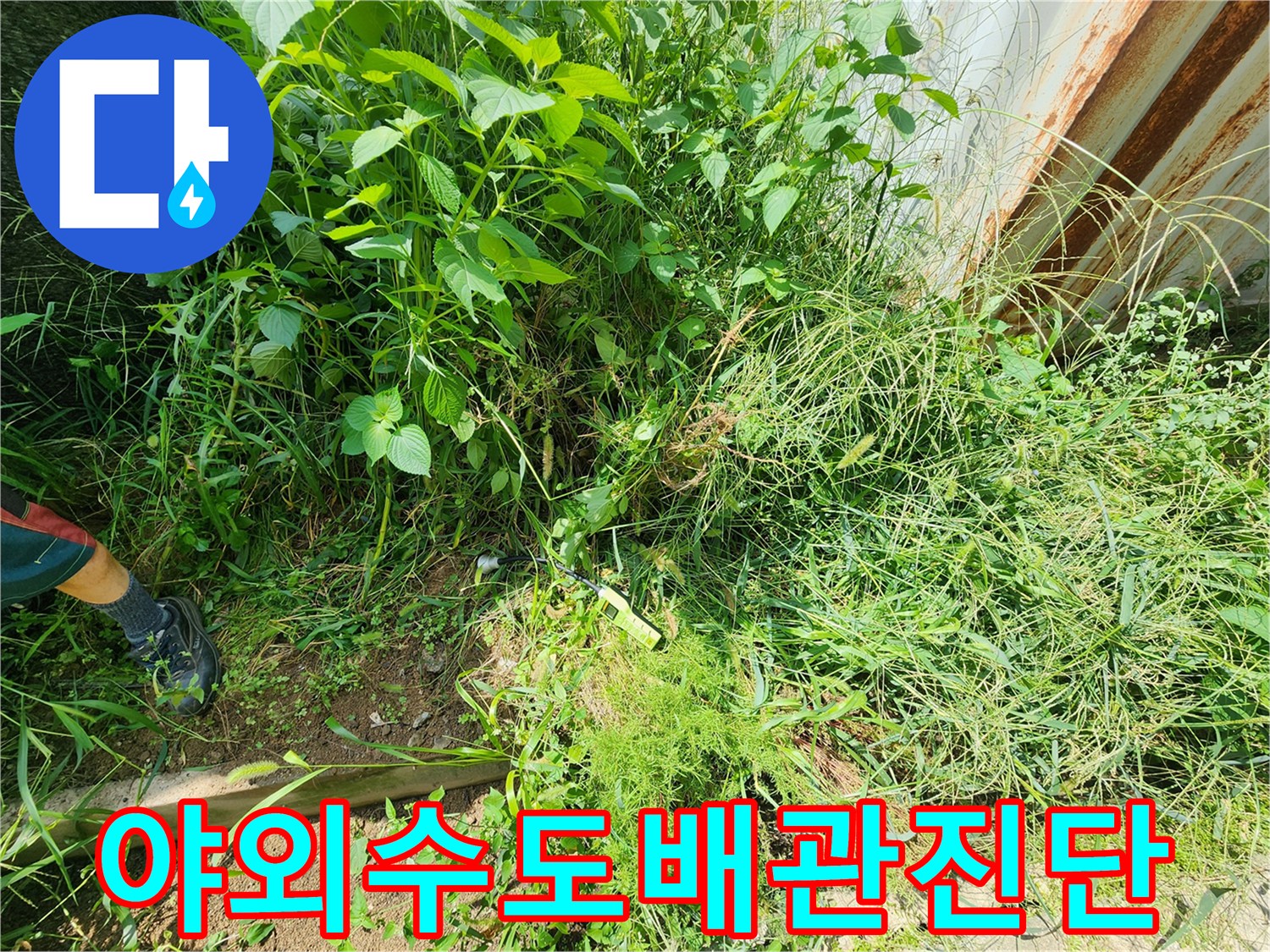 풀이우거진-배관 주변 누수 지점 탐색 작업
