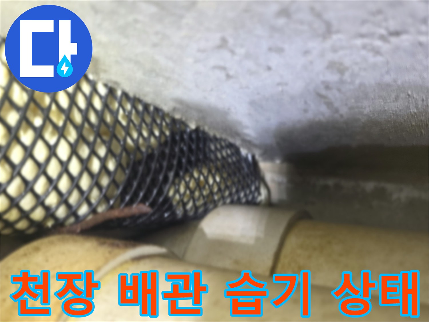 천장 내부 배관 주변의 습기와 오염된 상태를 보여주는 사진입니다.