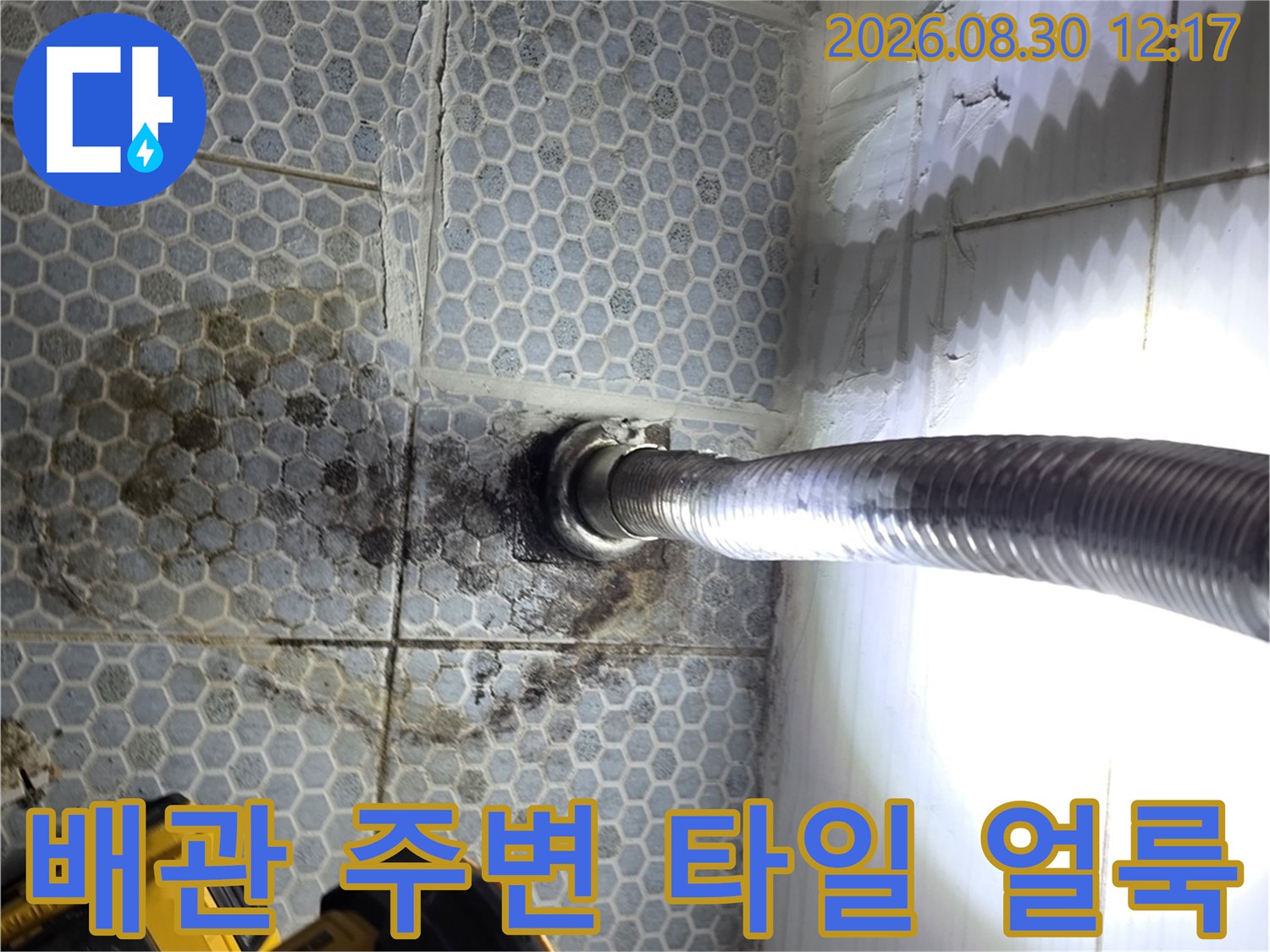 욕실 배관 연결 부위 주변에 발생한 젖은 타일 패턴과 오염 상태