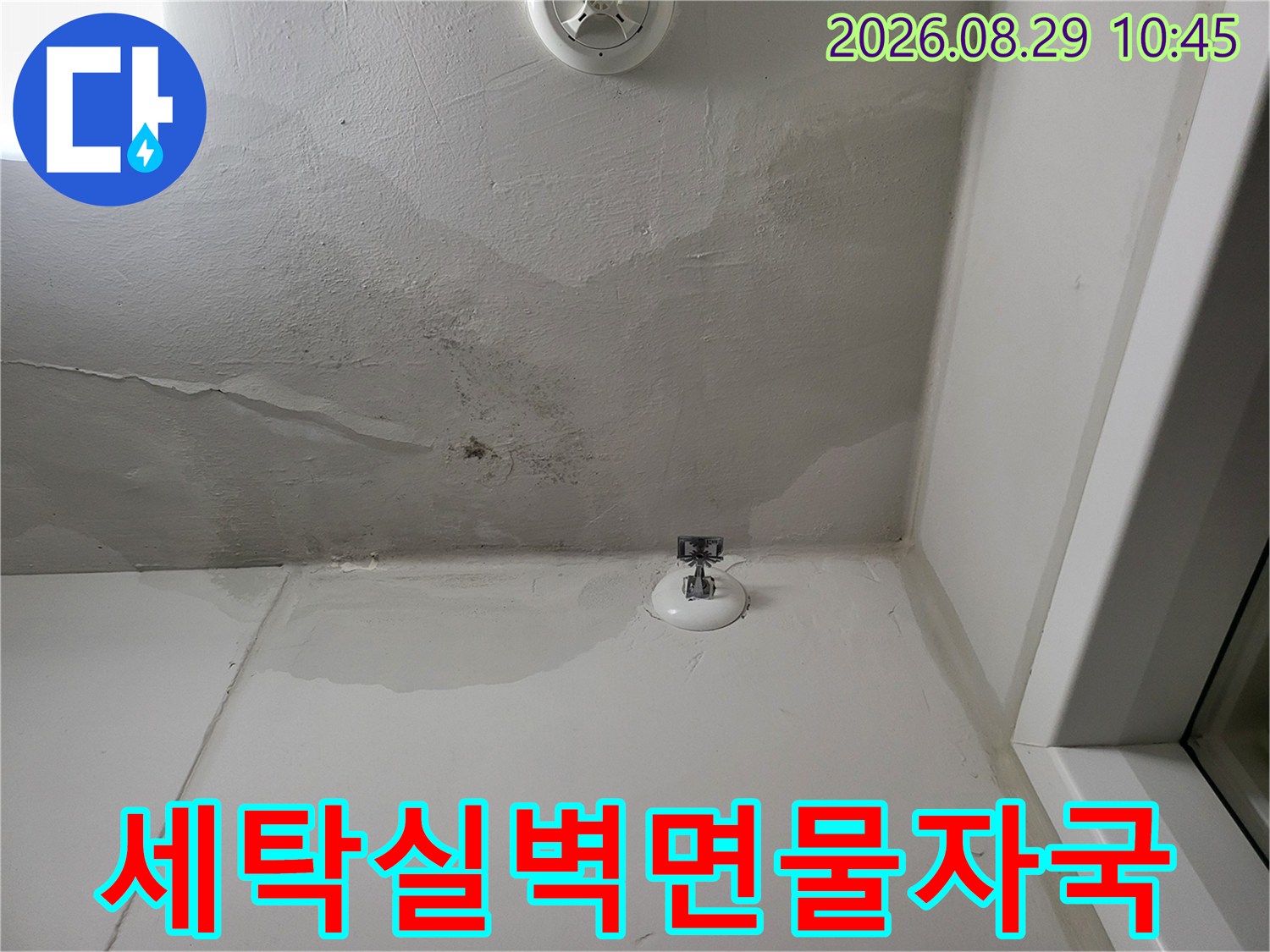 세탁실 벽면 상단까지 타고 올라온 누수 얼룩과 변색 부위입니다.