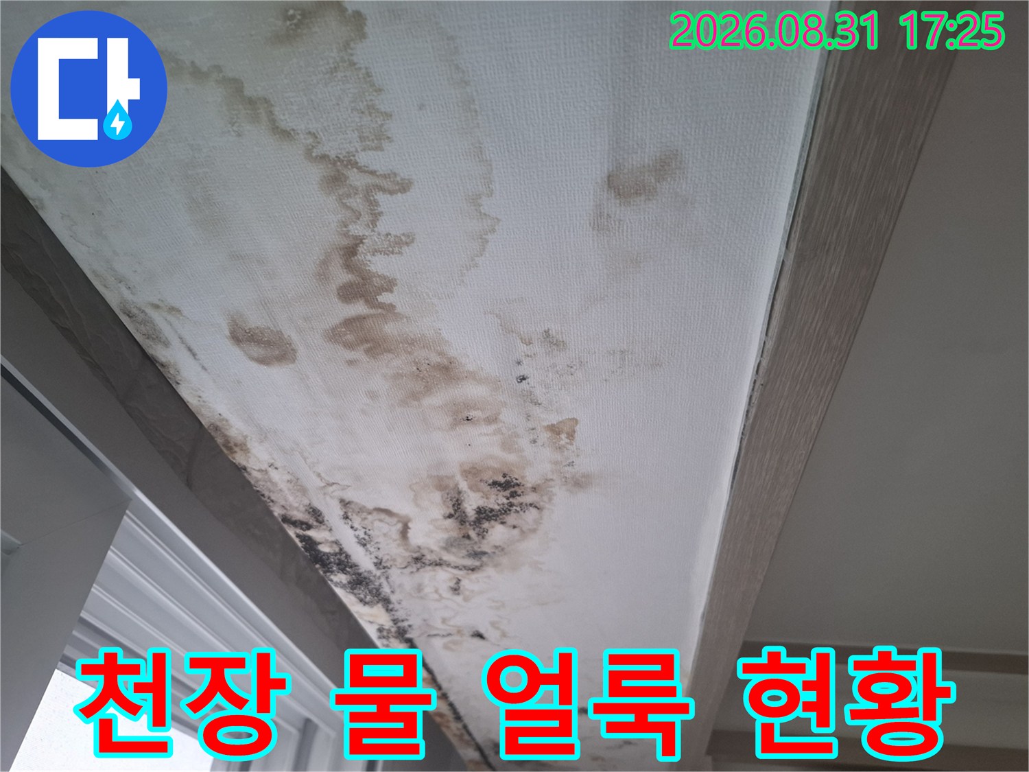 마포구 아현동 거실 천장의 광범 быть한 물 얼룩과 곰팡이 발생 상태