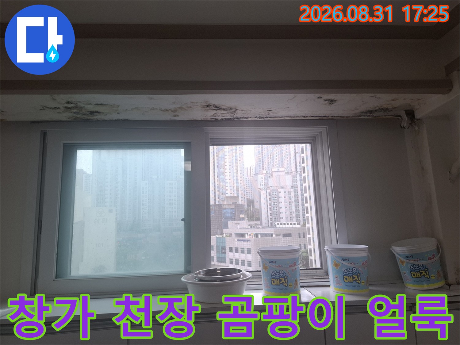 마포구 아현동 아파트-창가 천장과 벽면에 발생한 곰팡이와 물 얼룩 현장입니다.