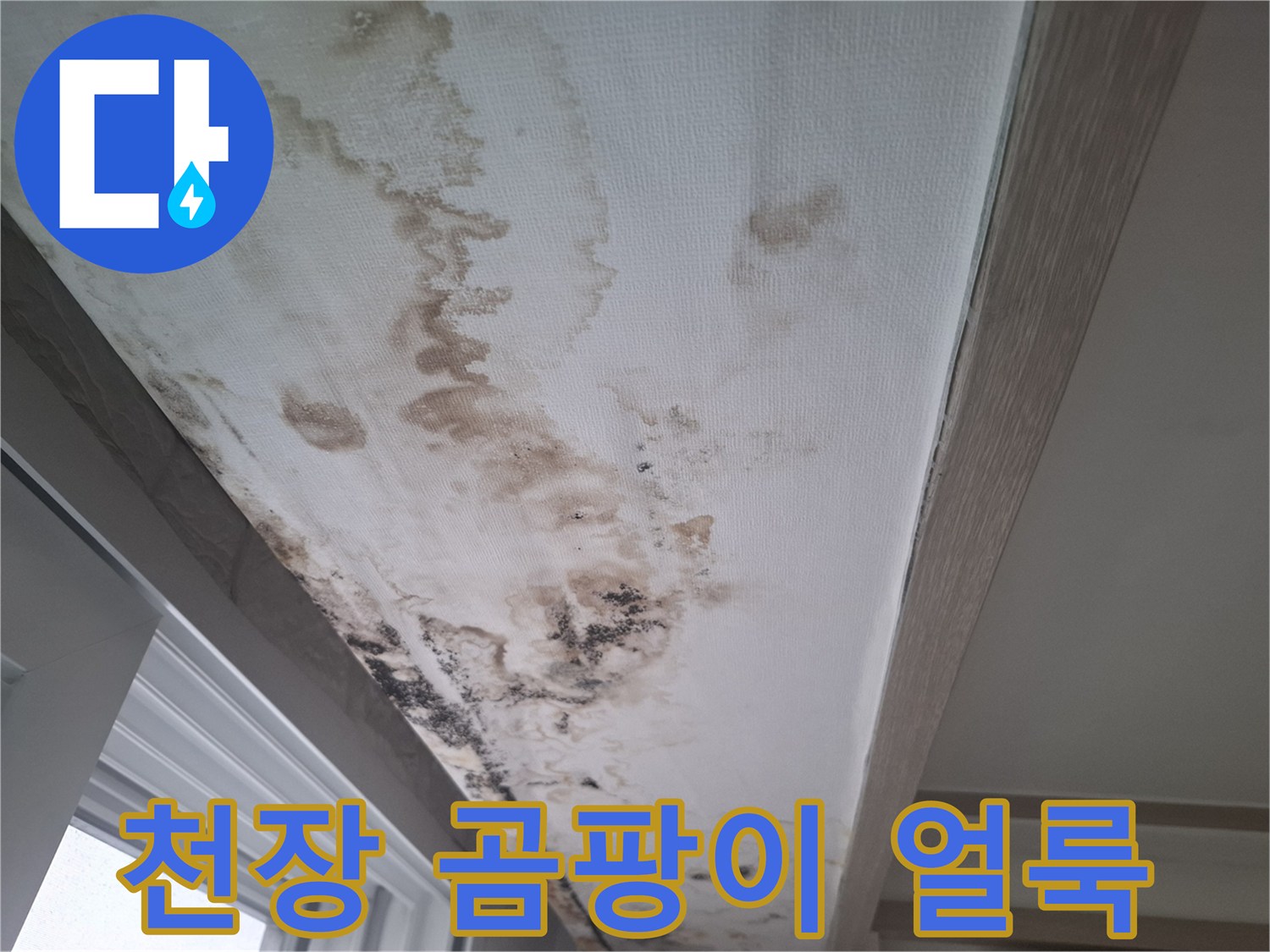 아파트-거실-천장-부위의-심한-물자국과-곰팡이-상태