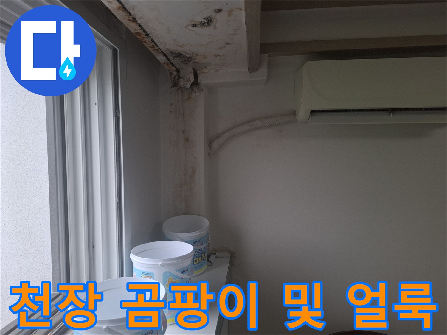 창문 근처 천장과 벽면에 나타난 심한 곰팡이와 물 얼룩