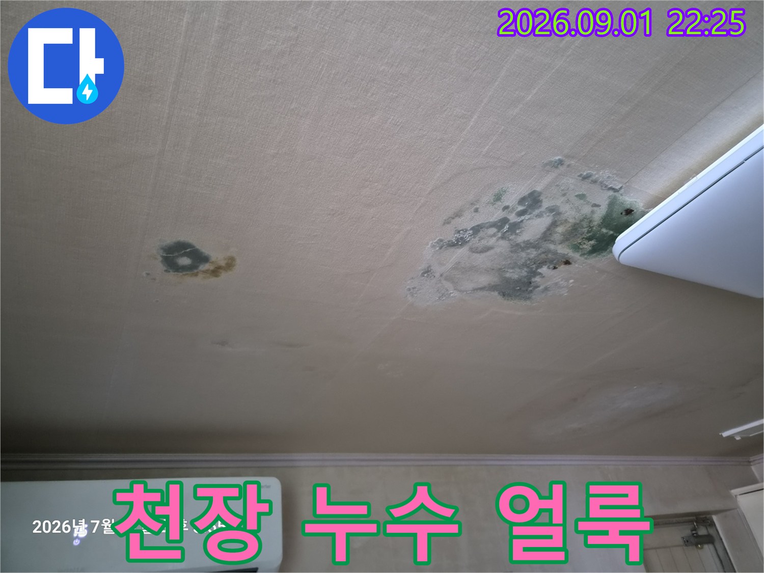 물샘으로 인해 젖고 곰팡이가 생긴 거실 천장 벽지