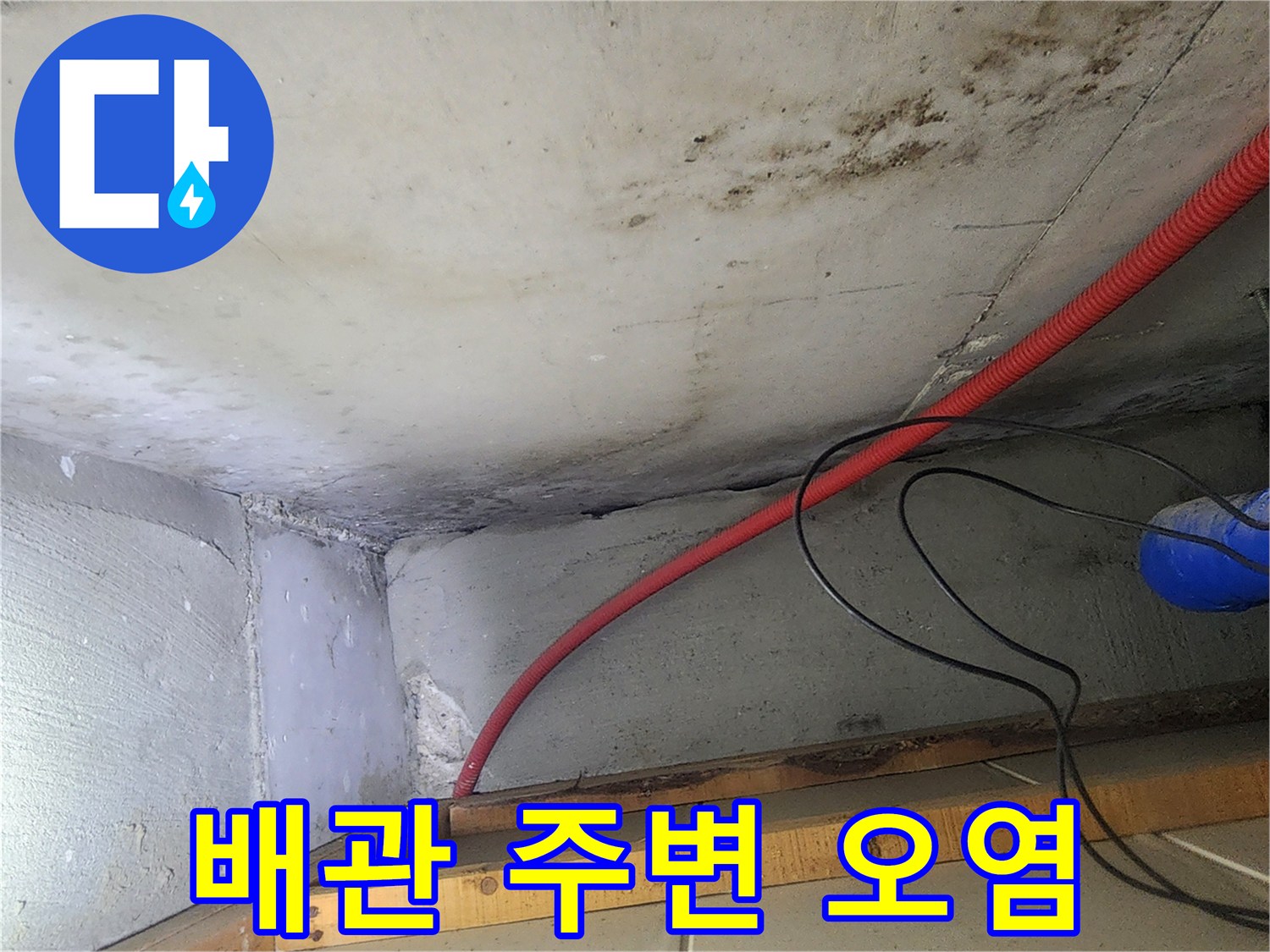 붉은색 배관과 인접한 천장 부위의 곰팡이 발생 현황