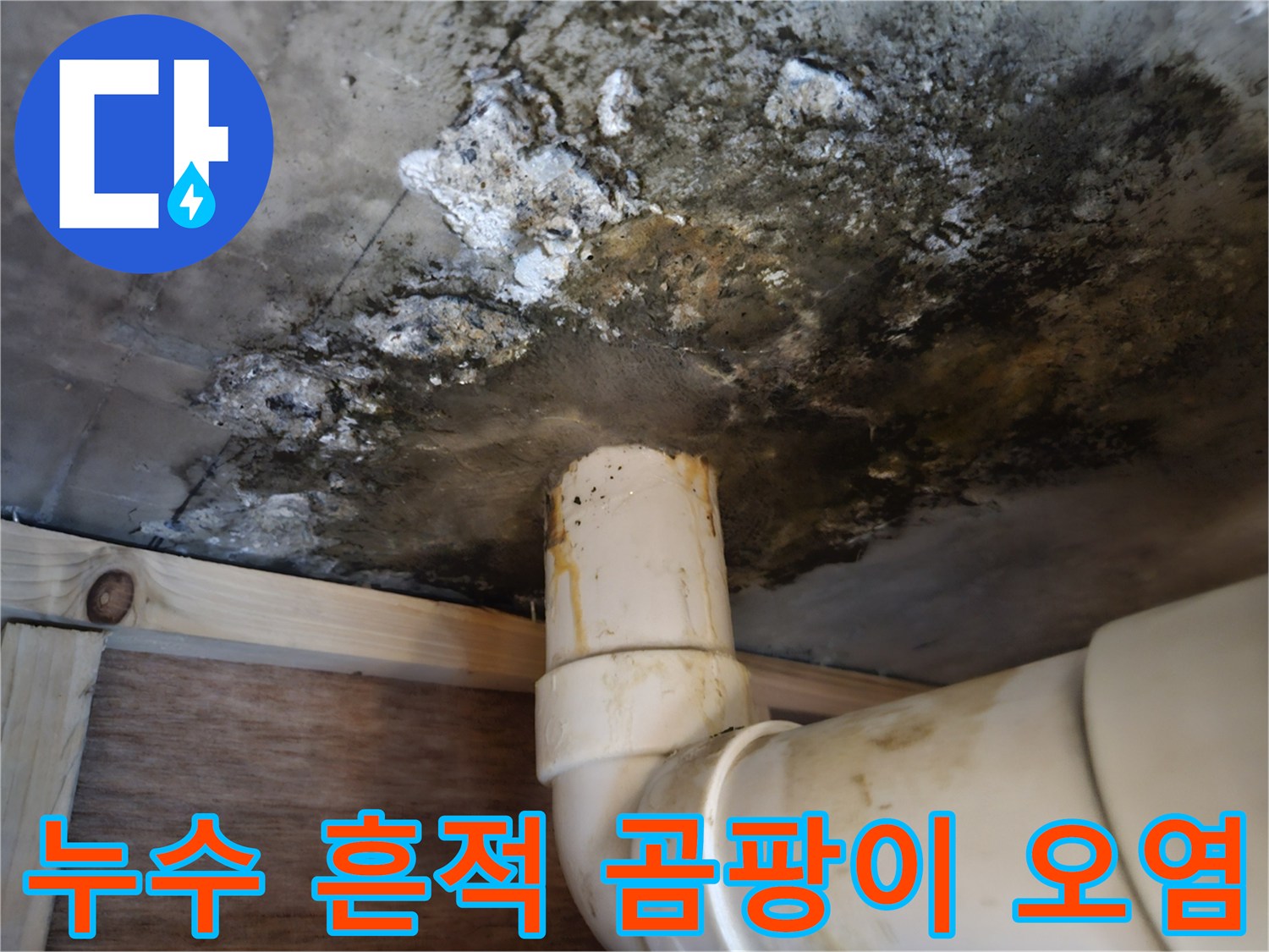 배관 주변의-심한 곰팡이와 콘크리트 변색 부위