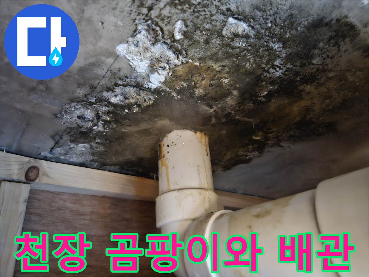 화장실-천장-콘크리트-슬래브-곰팡이-및-배수관-상태