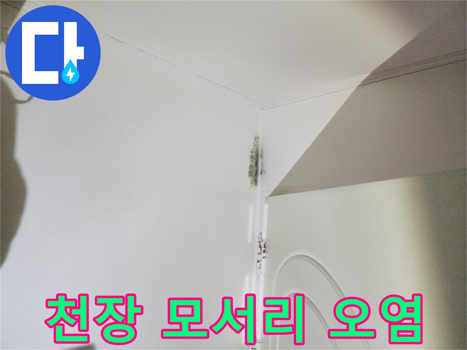 은평구 신사동 현장-천장과 벽면 경계의 곰팡이 발생 부위