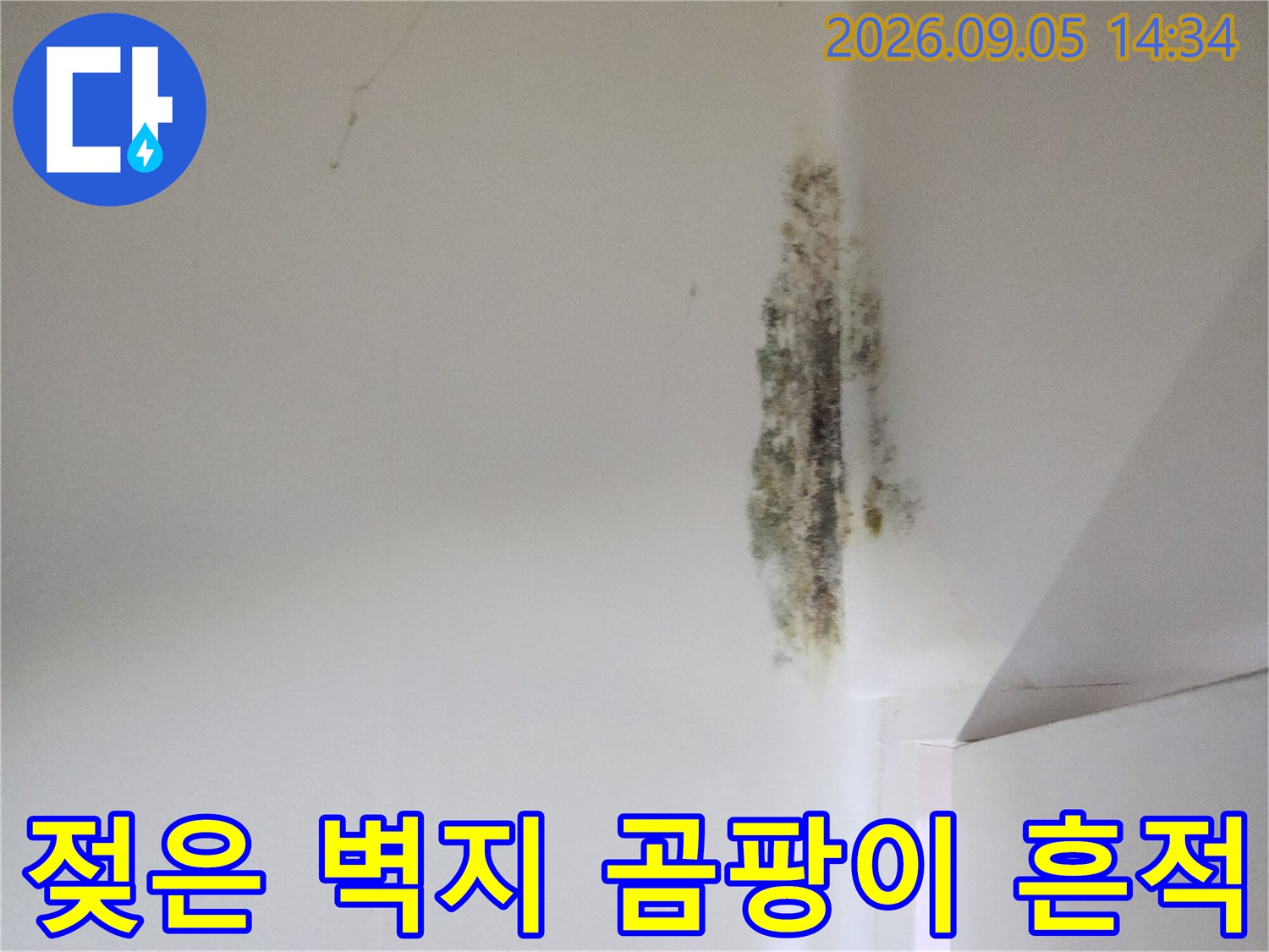 천장 모서리 부근의 젖은 벽지와 곰팡이 오염 상태