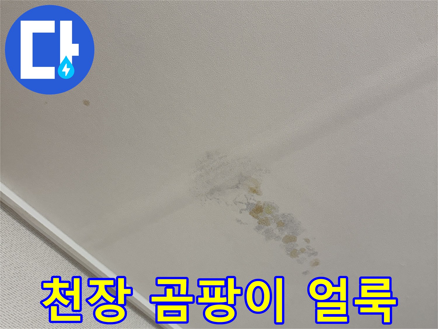 용인 동천동 아파트-천장에 발생한 곰팡이와 습기 흔적