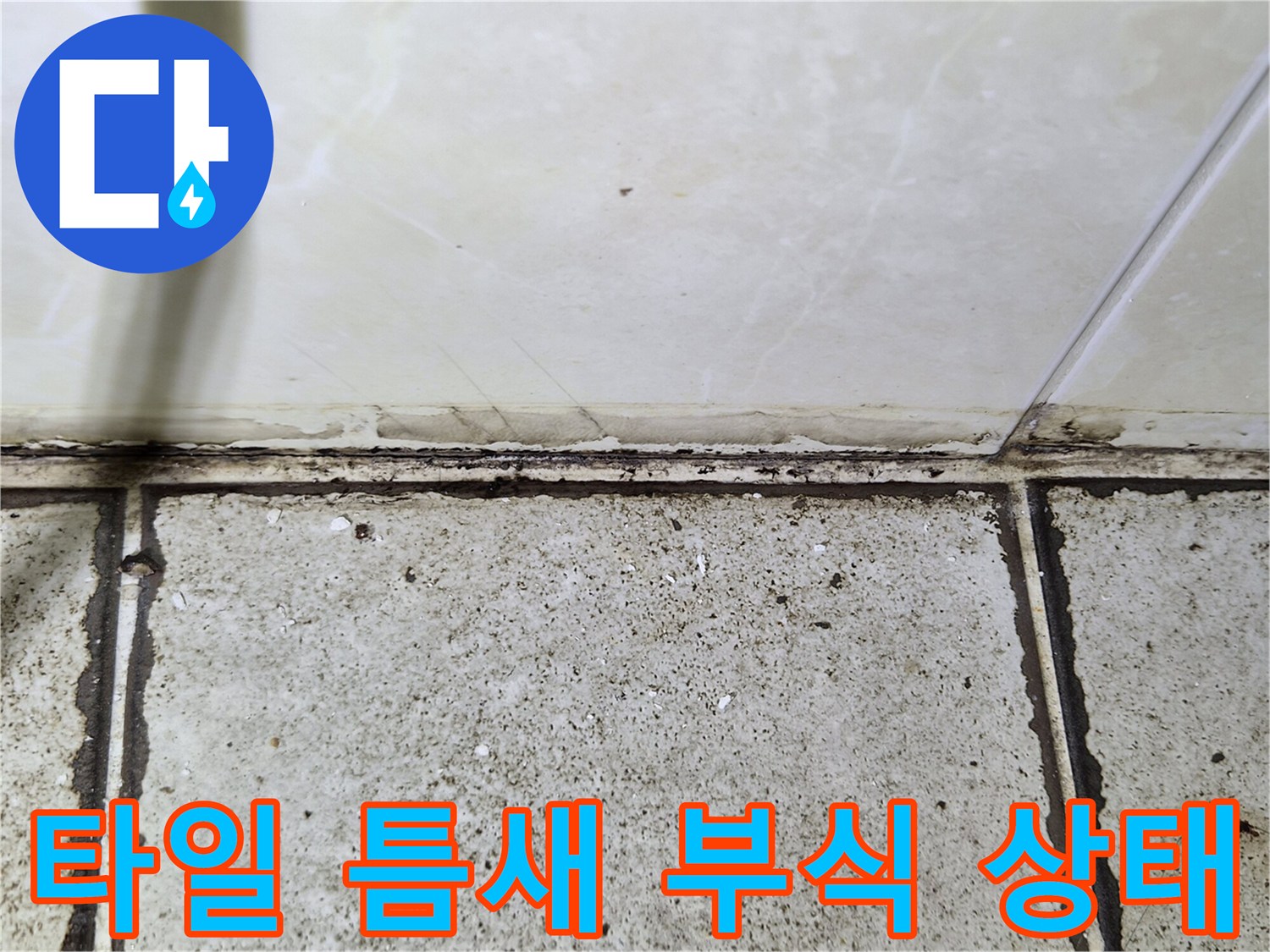 화장실 벽면과 바닥 타일 접합부-심한 오염과 균열 발생