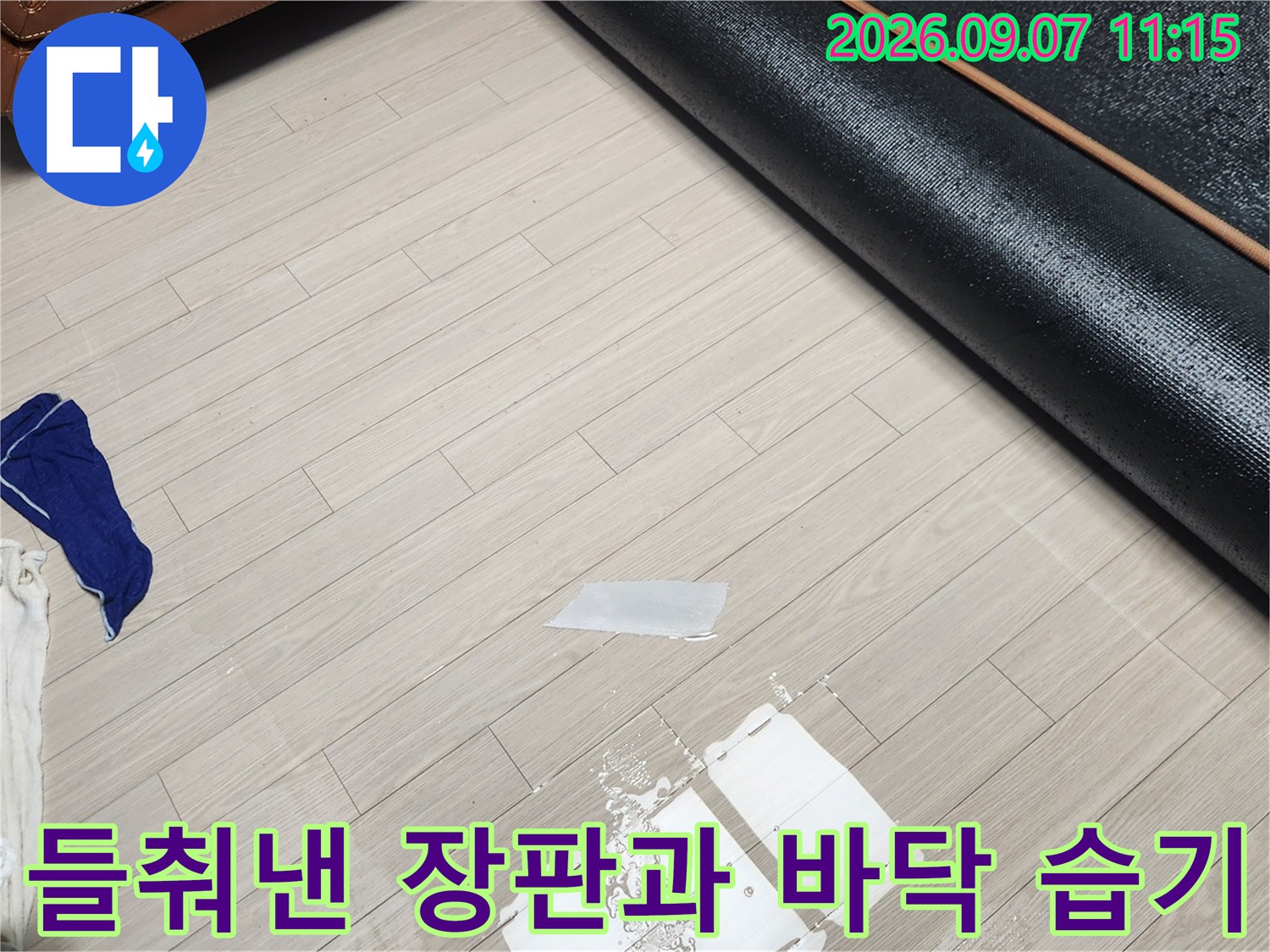 태평동 빌라 현장-장판을 걷어내고 바닥의 물기를 제거하는 엔지니어의 작업