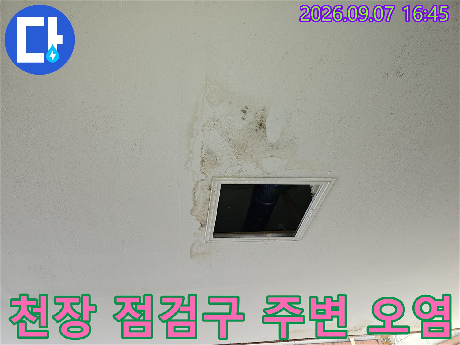 물에 젖어 변색된 천장 마감재와 점검구 근처의 누수 부위