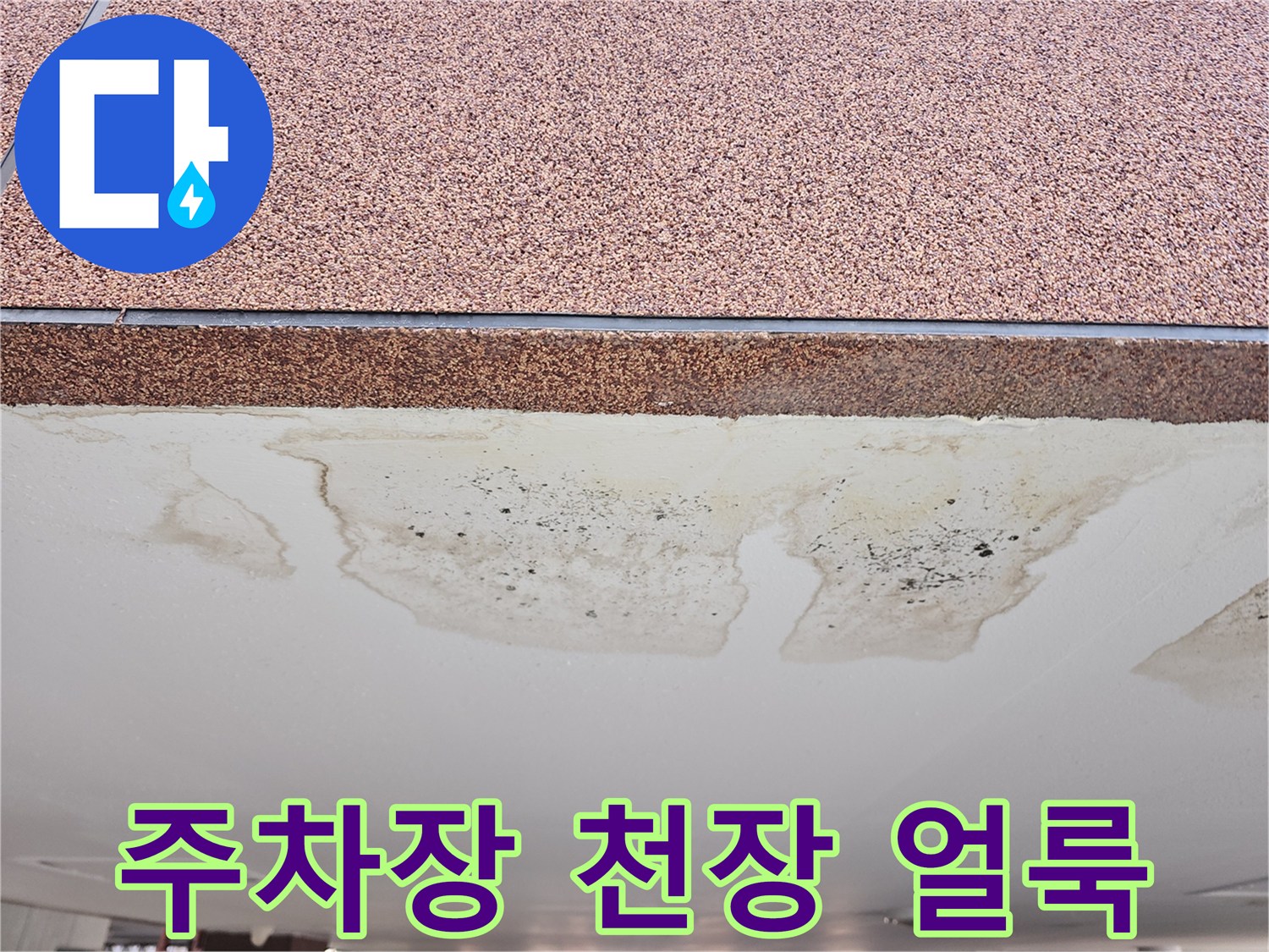 필로티-주차장-천장-표면의-심한-습기-및-오염-상태