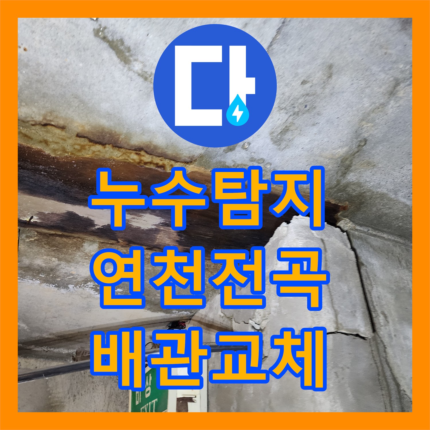 누수탐지 빌라 1층 싱크대 앞 물샘 현상을 정밀 진단해 지하층 피해를 막은 경기 연천군 전곡읍 사례