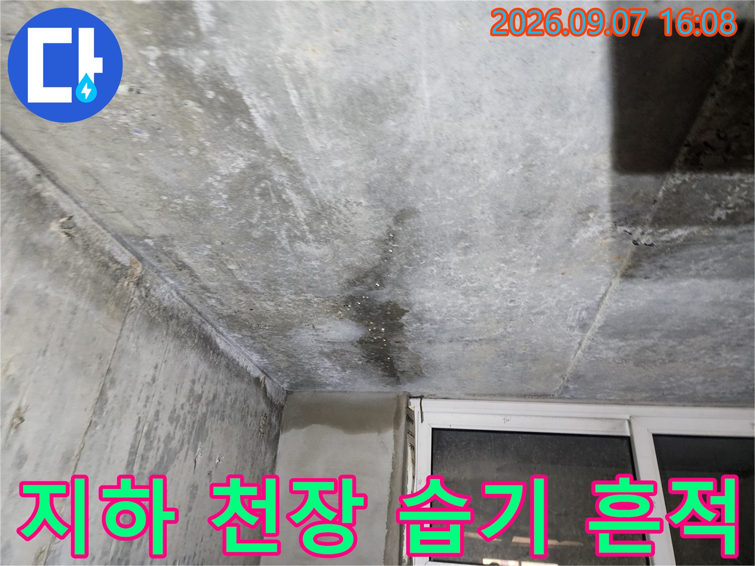 연천 전곡 지하층-물샘으로 인해 어둡게 얼룩진 콘크리트 천장면