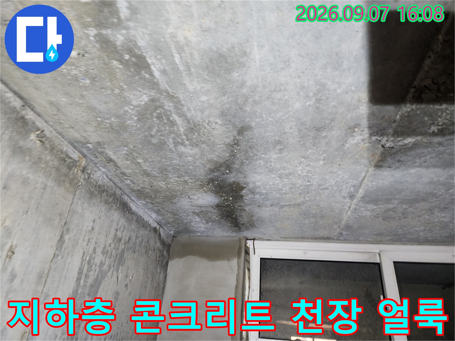 연천군 전곡읍-빌라 지하층-콘크리트 천장 누수 흔적 사진