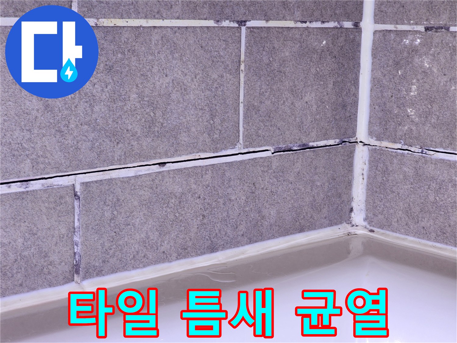 샤워부스 내부-타일 줄눈 부위의 갈라짐과 변색 상태