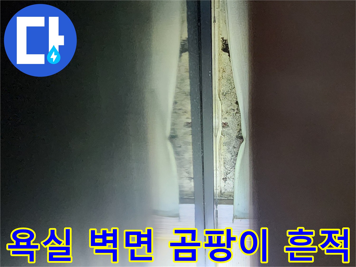 샤워부스-내측-타일-틈새-곰팡이-및-습기-발생