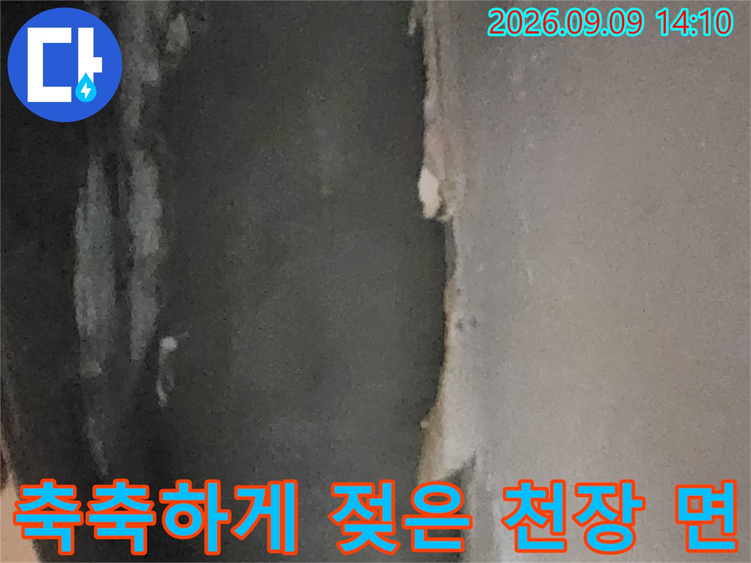 곰팡이가 번식한-지하실 천장의 누수 피해 부위