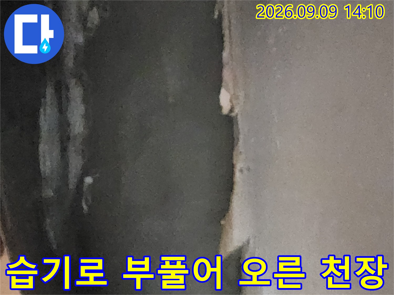 물샘 현상으로 인해 겹겹이 벗겨지고 곰팡이가 생긴 천장