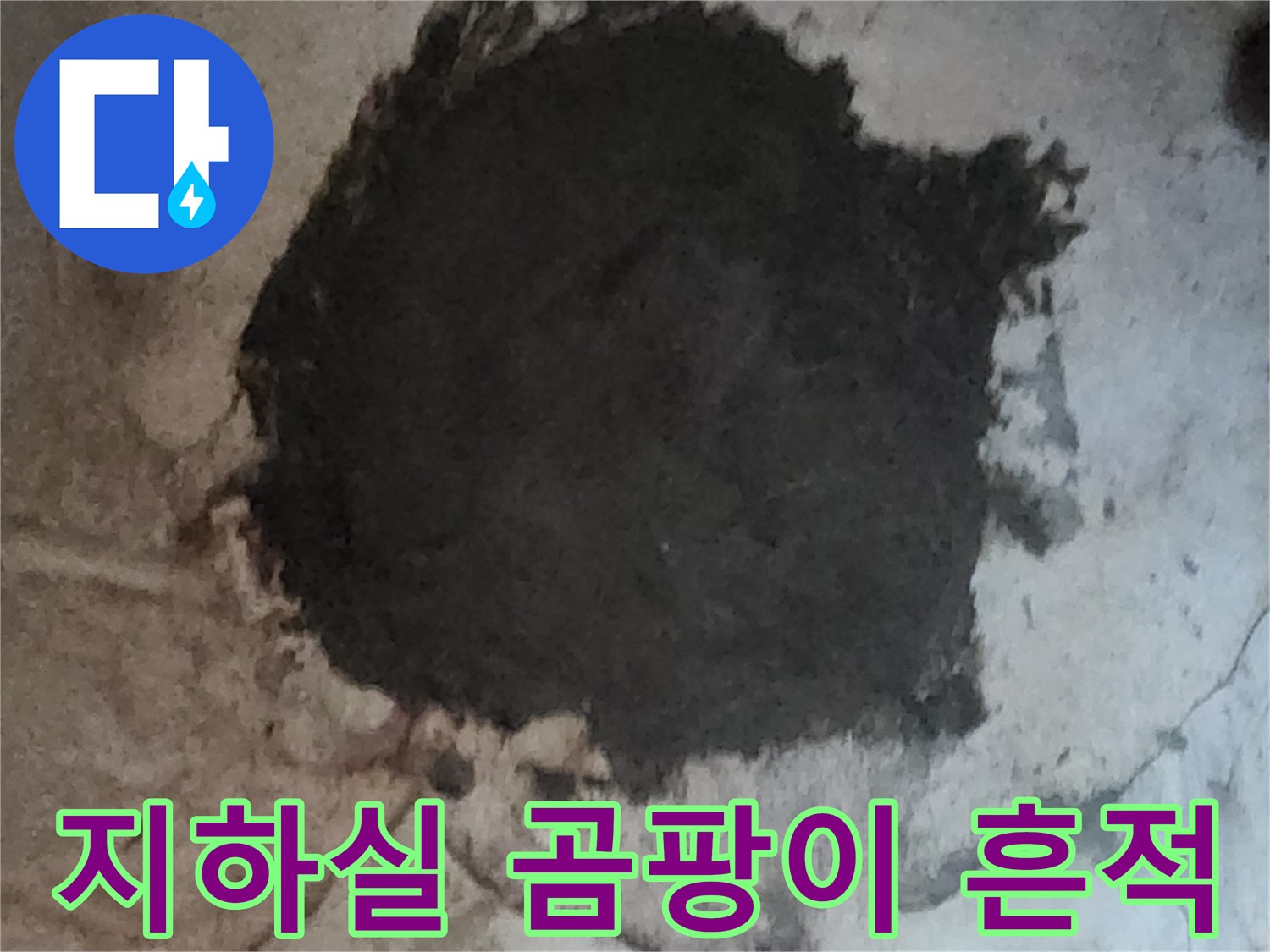서초구 염곡동 지하실 벽면에 넓게 퍼진 곰팡이와 습기로 인한 오염 상태