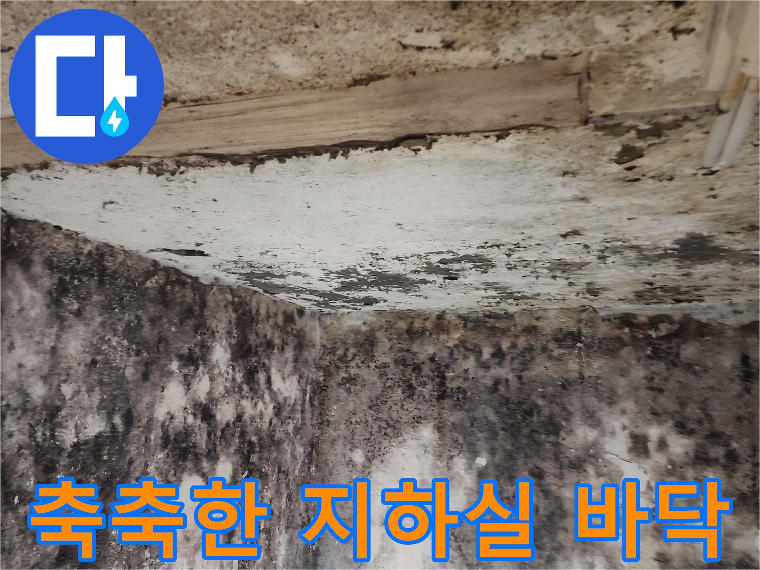 염곡동 현장-물샘으로 인해 오염된 지하실 내부 모습