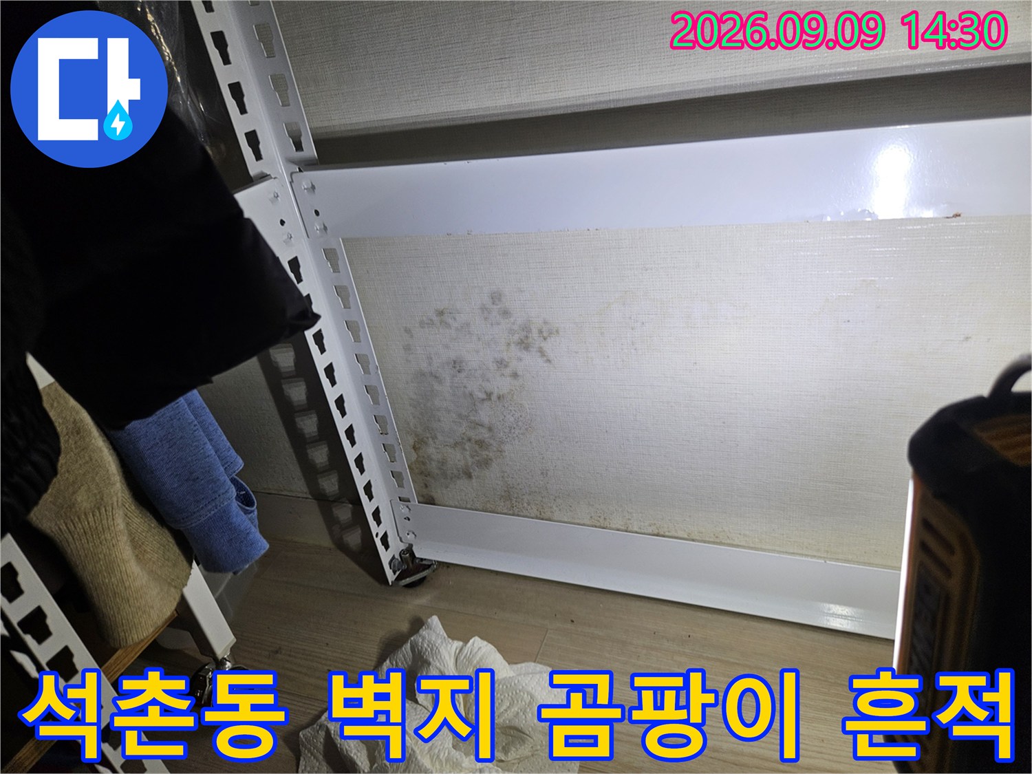 송파구 석촌동 아파트 거실 벽면의 곰팡이와 습기 흔적