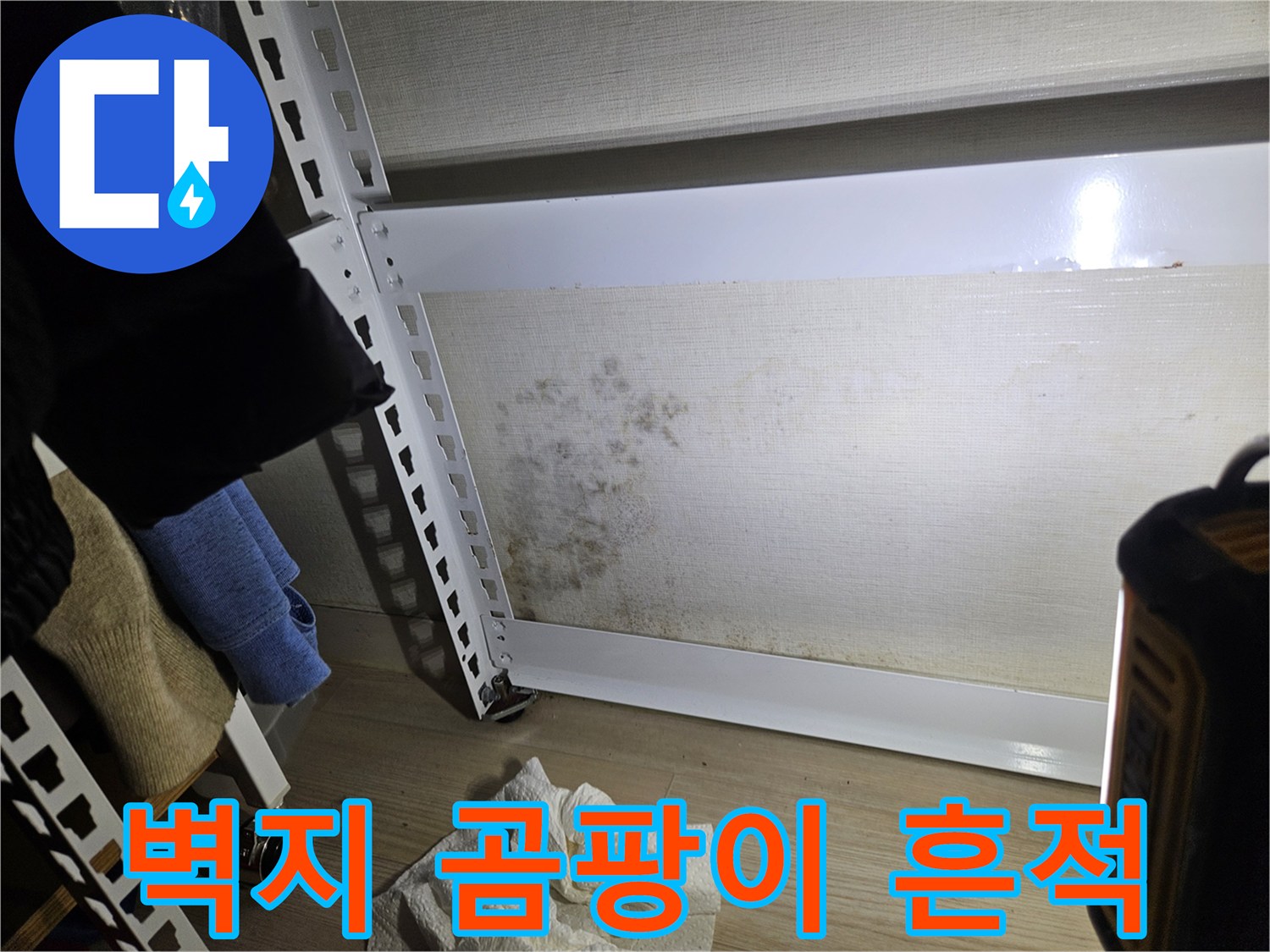 송파구 석촌동 아파트 벽면에 발생한 곰팡이와 습기 자국