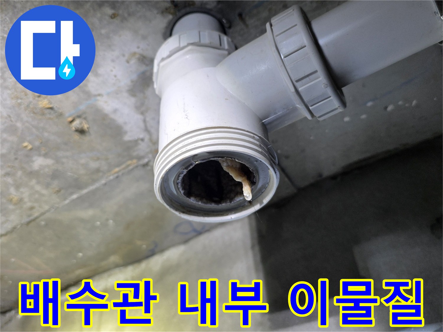 배수관-입구에-쌓인-머리카락과-오물