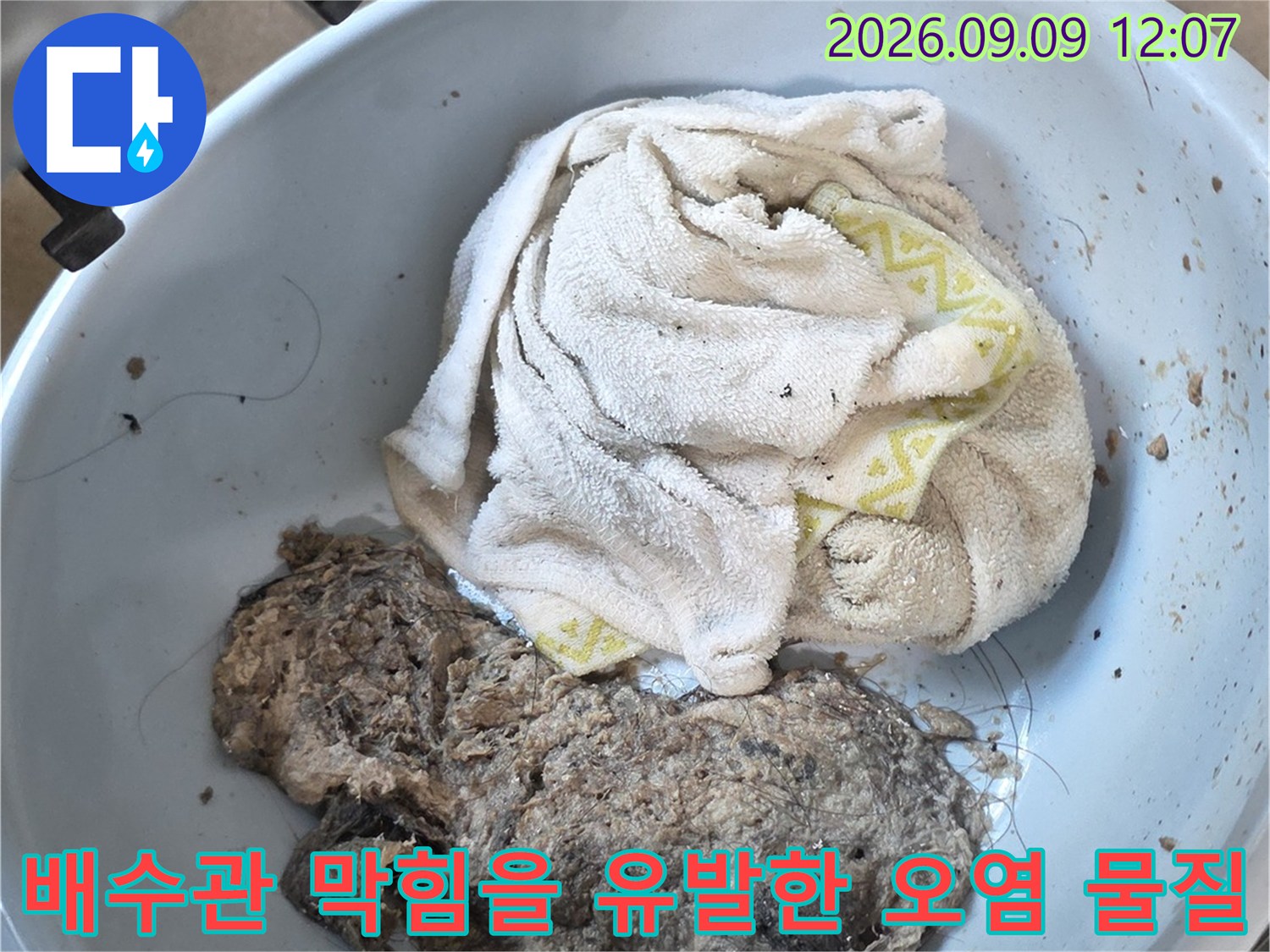 배수구 내부에서 긁어낸 머리카락과 찌꺼기 슬러지 뭉치