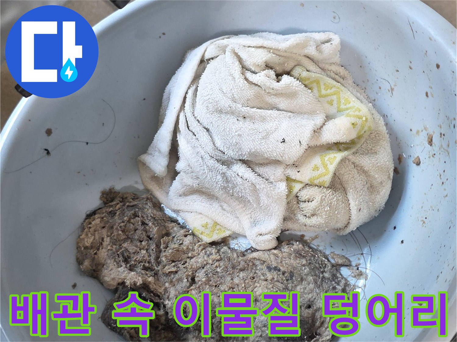 욕실 배수관에서 추출한 머리카락과 오물 덩어리