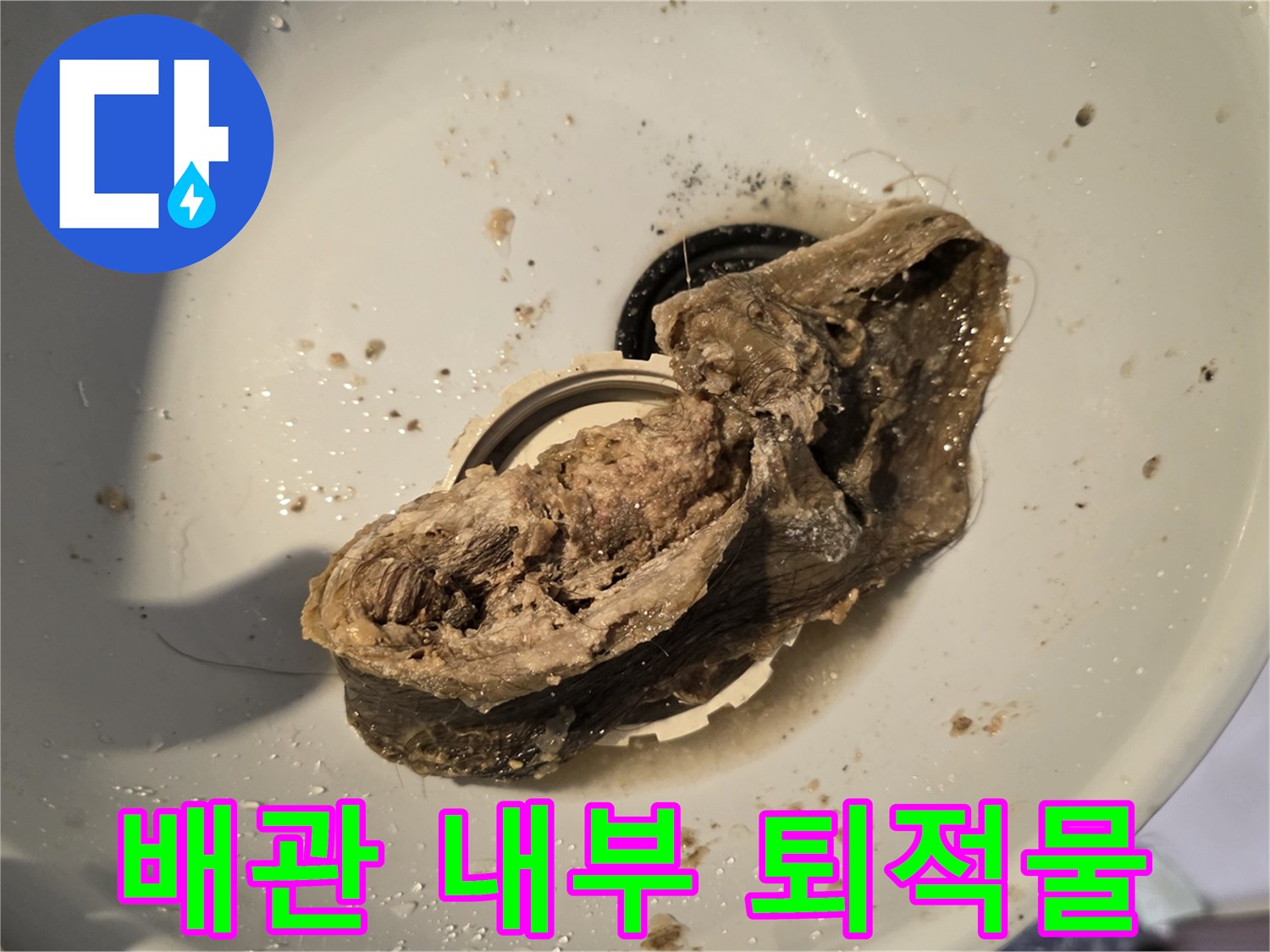 하수구 막힘을 일으킨-머리카락과 오물의 거대한 덩어리